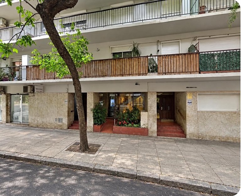 Diseño, luz y confort en Belgrano | Organic Modern